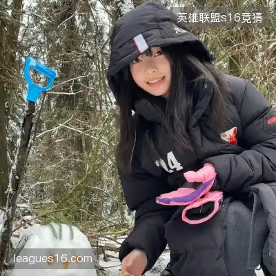 韦飚将